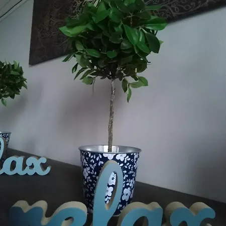 Orient Relax Garden كيستاي