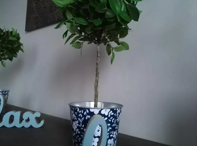 Orient Relax Garden Keszthely